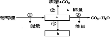德优题库