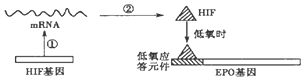 德优题库