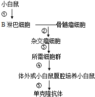 德优题库