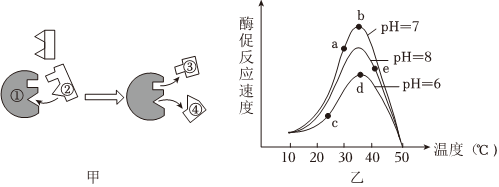 德优题库