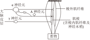 德优题库