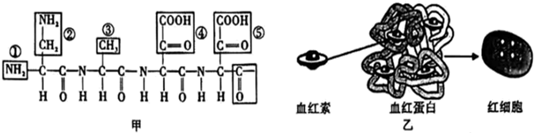 德优题库