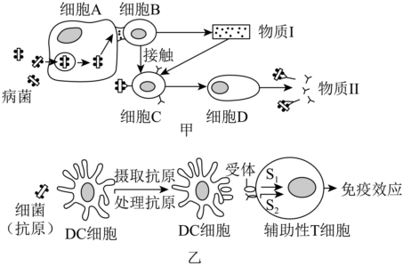 德优题库