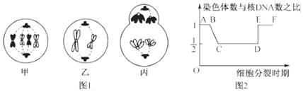 德优题库