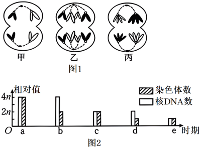 德优题库