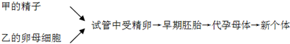 德优题库