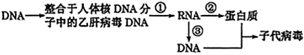 德优题库