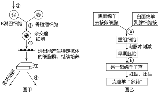 德优题库