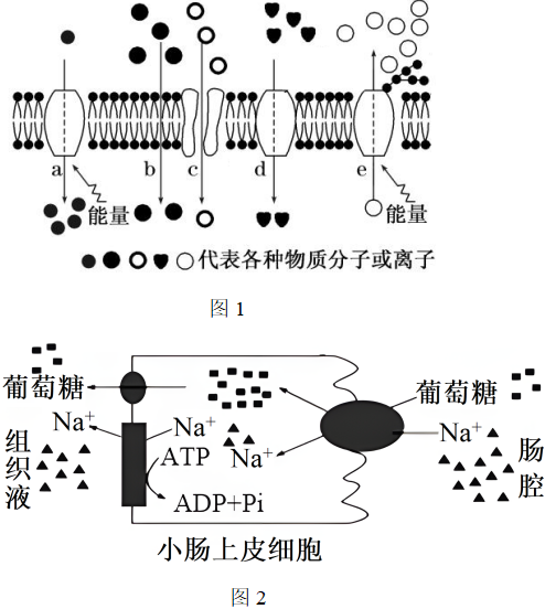 德优题库