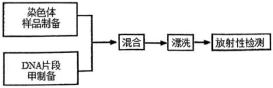 德优题库