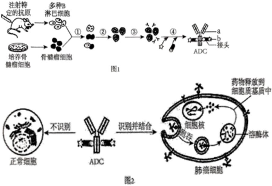 德优题库