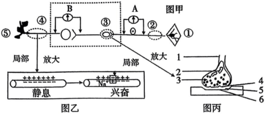 德优题库