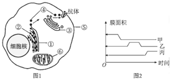 德优题库