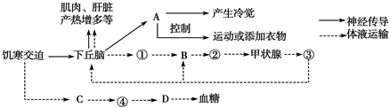 德优题库