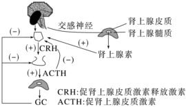 德优题库