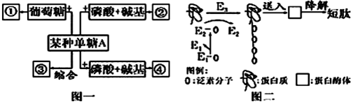 德优题库