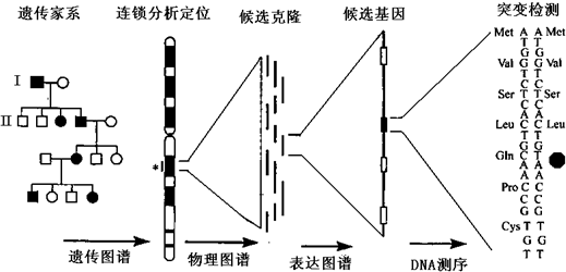 德优题库