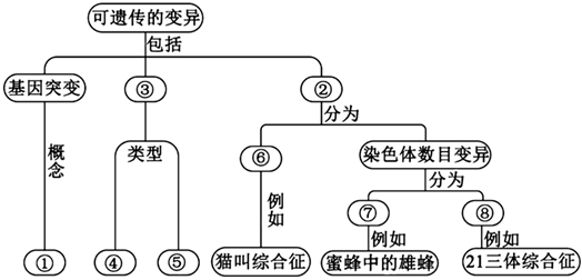 德优题库