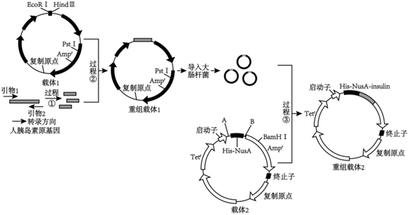 德优题库