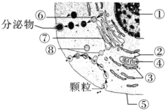 德优题库