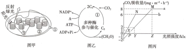德优题库