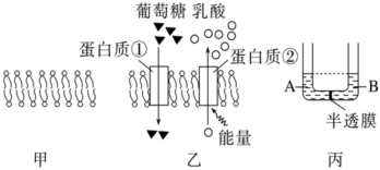 德优题库