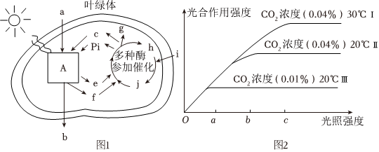德优题库