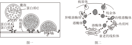 德优题库