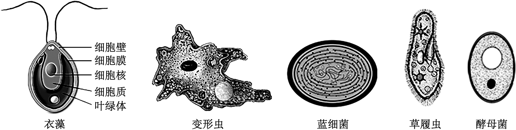 德优题库