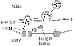 德优题库