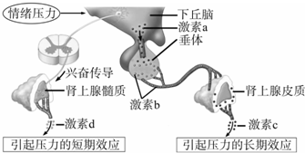 德优题库