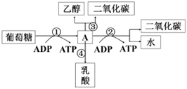 德优题库