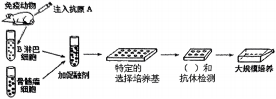 德优题库