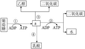德优题库