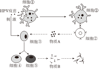 德优题库