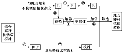 德优题库