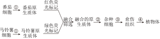 德优题库