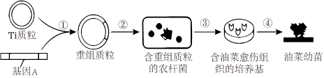 德优题库
