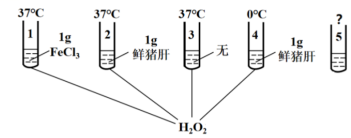 德优题库