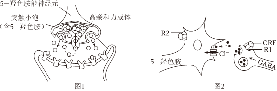 德优题库