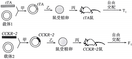 德优题库