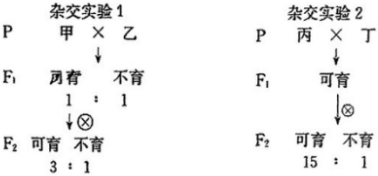 德优题库