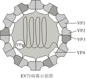 德优题库