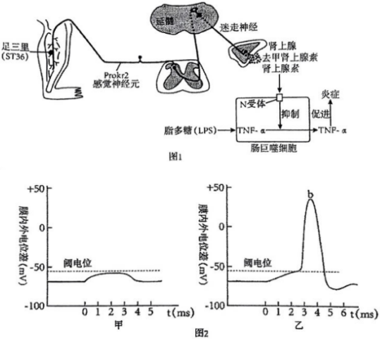 德优题库
