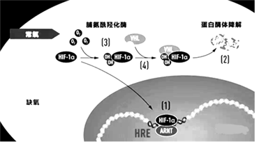 德优题库