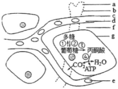 德优题库