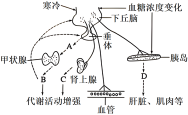 德优题库