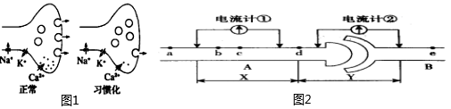 德优题库
