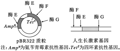 德优题库
