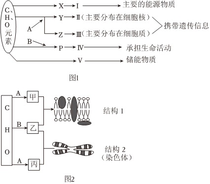 德优题库